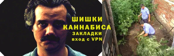 каннабис Богданович